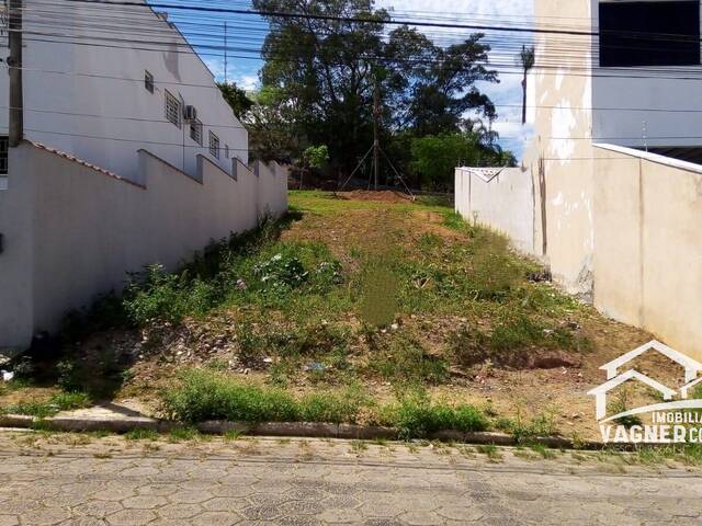 #1561 - Terreno para Venda em Guaratinguetá - SP - 1